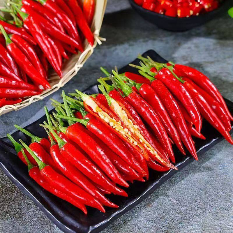 小米辣 辣辣辣 特辣-秋亿小盏